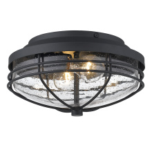 Golden Canada 9808-OFM NB-SD - Golden Lighting Seaport 2-light Outdoor Ceiling in Natural Black